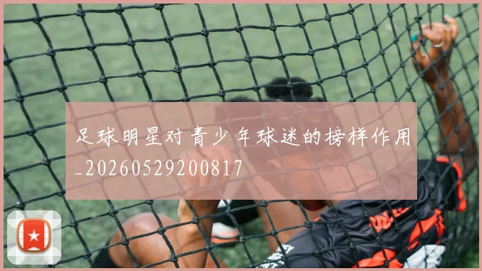 足球明星对青少年球迷的榜样作用_20260529200817