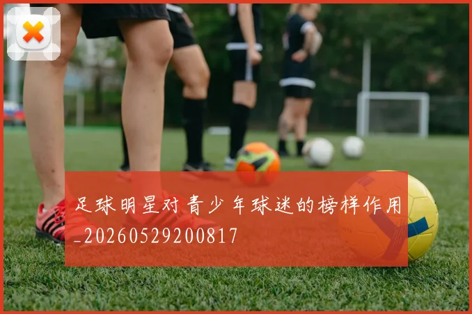 足球明星对青少年球迷的榜样作用_20260529200817
